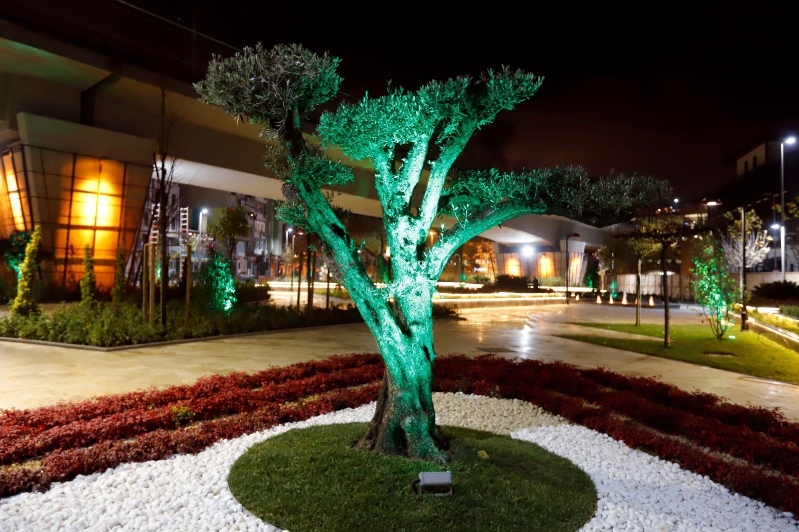 1. Etap Çalışmaları